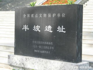 陳忠實與半坡文化
