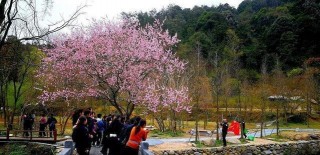 江西也有好風景，銅源峽景區一日遊，來去山水之間