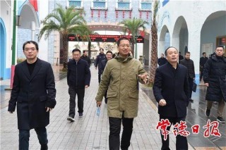 謝衛江來常德調研文化旅遊工作