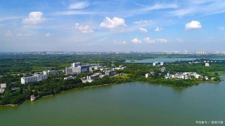 少兒科學教育中的四大經典實驗案例！