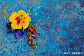 未來八天，喜鵲盈門叫，將與真愛喜相逢，甜蜜共度餘生的星座