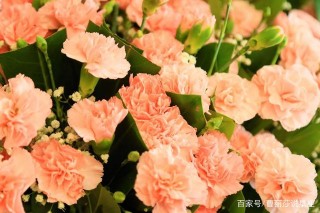 下周開始，成為月老心頭好，為你帶來愛情的星座：良緣如期而至