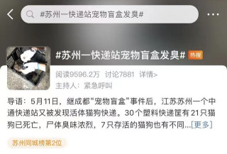數十只貓狗屍體已發臭，又有“寵物盲盒”曝光！官方通報