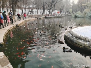 新疆旅遊烏魯木齊4A級景區，水磨溝風景區，冬天景色