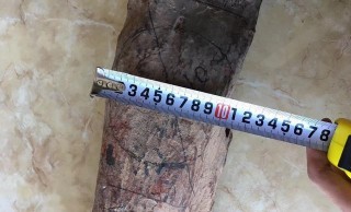 大叔收來一根海黃木頭 切開後 臉憋得通紅