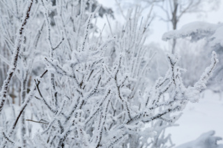 如果一生只能遇見一場冰雪奇觀，那我一定選擇吉林市