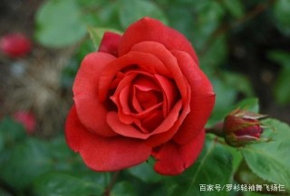 未來15天，舊情複蘇，重溫舊夢，3星座溫情以對，愛火重燃