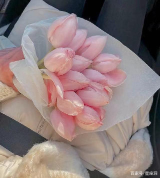 為人處事兒方面，很有涵養的星座