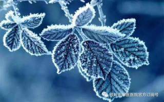 「節氣養生」霜降時節如何養生？中醫專家幫您支招！