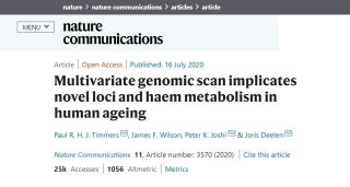 100萬人參與實驗後，英德科學家發現了藏在血液裏的“長壽秘密”