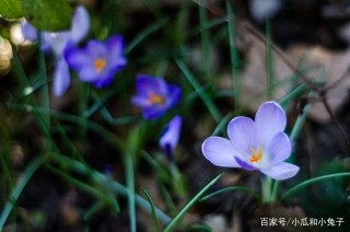 1月初，撫平過往，結束留戀，愛情煥然一新，接納新感情的3星座