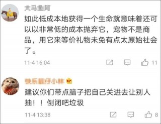 上海出現活體寵物抽獎機？品種貓咪、狗狗積分就可以抽到？