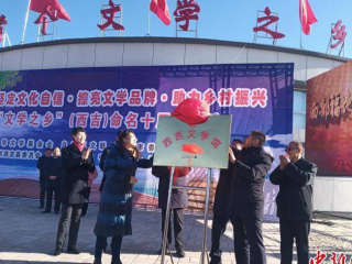 首個“文學之鄉”寧夏西吉：讓文學茁壯成長 開枝散葉