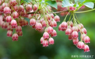 12月，最有責任感，不論大小事，3星座全力以赴，極易被上司賞識