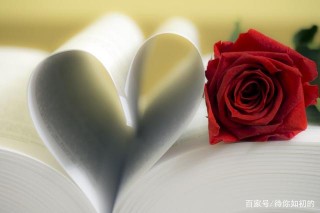 11月中旬，姻緣飄散，將與前任做了斷的4星座，收回思念！