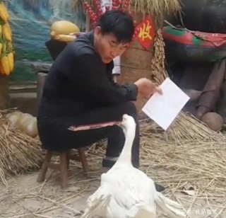 娛樂八卦：大衣哥朱之文，張紀中，李娜