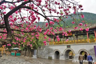 西安旅遊強大的背後：GDP破萬億，5A景區占陝西一半，第七大機場