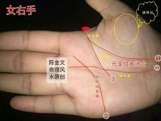 3種手相：看3個女人感情線運勢「金房子」出現！