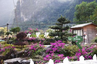 陽朔十裏畫廊騎行遊玩攻略、景點盤點，看看有哪些景點值得去？