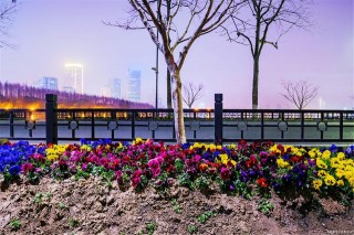 南京又一景區走紅：安葬著古代唯一草根皇帝，公交直達門票僅70元