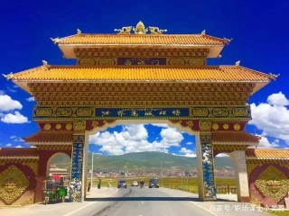 丁真人設崩塌，職業規劃導師：這是必然結果！建議接下來這樣做！