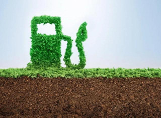 低傳統酶60%用量，合成生物學使傳統原料廠商實現生物乙醇再增產