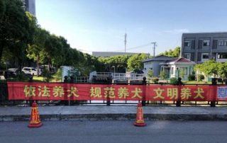 重要通知，即日起上海將開展養犬管理專項整治！