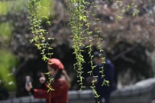 2021全年健康養生月曆來了！跟著做，新的一年疾病都繞道走