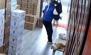 沒拴繩的寵物狗闖入店內咬貓，被店主一腳踢出去，狗主人倒打一耙