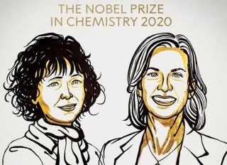 諾貝爾化學獎揭曉：兩位女性科學家因開發「基因編輯」工具獲獎！