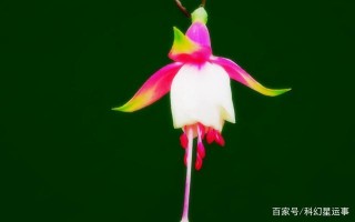下個月開始，能夠碰到喜事的星座，愛情甜蜜美滿，桃花運好！