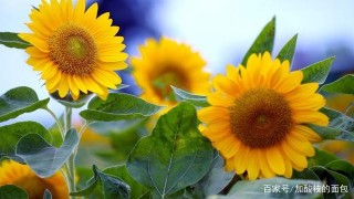 本周內，舊愛觸碰，留戀真情，三大星座甜蜜複合，愛不再冷卻