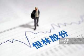 恒林股份降低三成估值收購廚博士 推進大家居戰略板式家具業務收入增868%