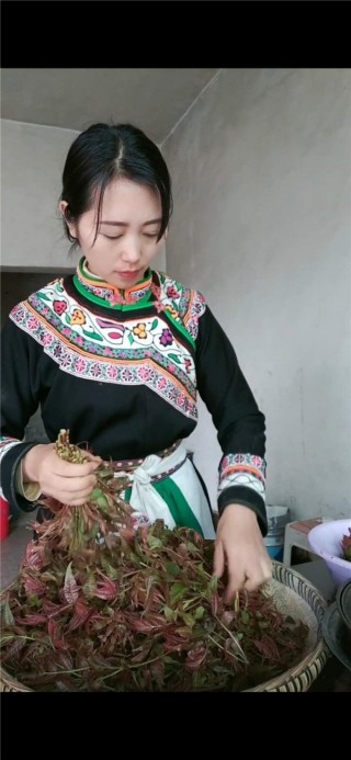 彝族阿姐王星：堅持傳播貴州民族美食文化