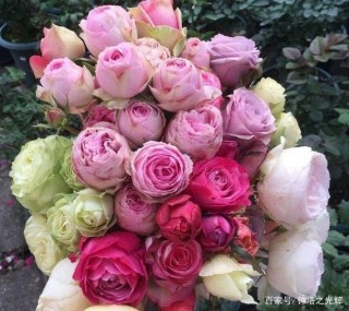 1月底桃花大漲，3星座幸福來敲門，春風得意，與愛相伴