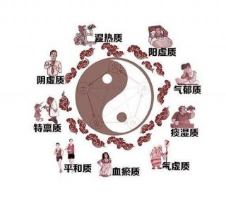 養生先辨體質！中醫體質詳解之「平和質」