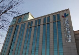 國家地質博物館中，有塊礫石是寶貝，專家說：它表面的劃痕最難得