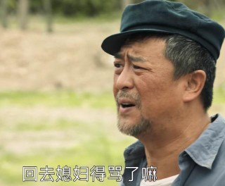 電視劇《山海情》┃一部劇請了半個娛樂圈的西北人，台詞真好聽