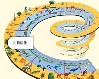 探秘性命：進化、生育與健康的交織_生命_有性_遺傳