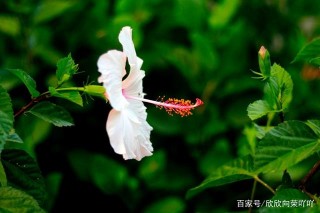 2月下旬，春風迎面吹，楊柳依依，緣分落地生根的4星座，相伴真愛