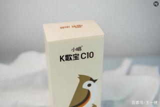 家庭K歌娛樂新標配——唱吧小唱K歌寶百靈鳥款C10上手體驗