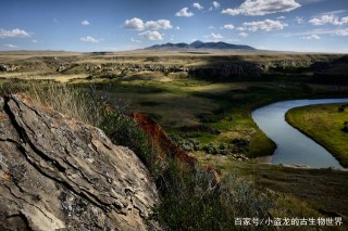 讓古生物學家傻傻分不清的長角恐龍！
