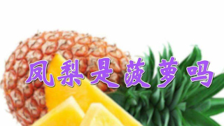 都是名字惹的禍！菠蘿和鳳梨到底是不是同一種水果？