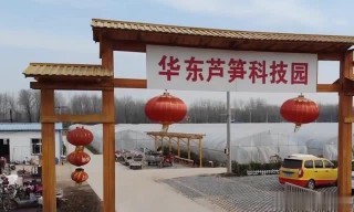 山東菏澤這個鎮實力最強全國都有排名，你熟悉嗎？