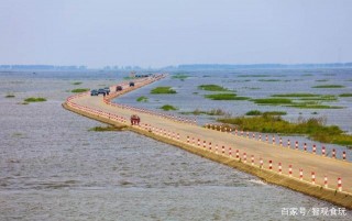 最美水上公路，能體驗的時間如櫻花花期般短暫，去旅遊要抓緊