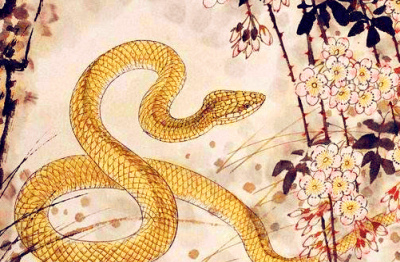 第三季度漸入佳境，運勢從陰轉晴，日子格外不缺福的四個生肖_合作_帶著_項目