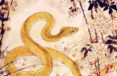 第三季度漸入佳境，運勢從陰轉晴，日子格外不缺福的四個生肖_合作_帶著_項目