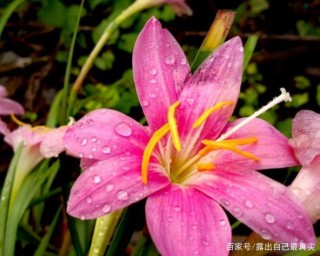 1月後，喜鵲門前渣渣叫，締結美好良緣，與前任重溫舊夢的3星座