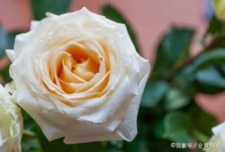 《平凡的世界》郝紅梅：女人在婚姻要清醒