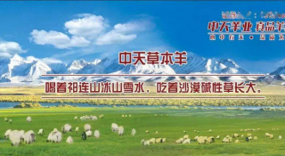 羊肉的膻味是哪兒來的？